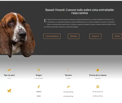 adoptarcachorro.org.es