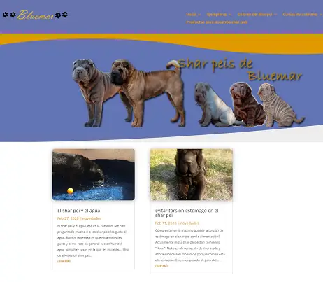 sharpeiyboxerdebluemar.com